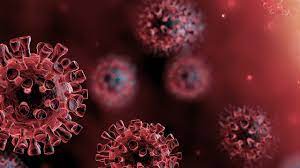 30 Million People Worldwide Acquire Digital Skills During COVID-19