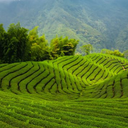 Mohamed bin Zayed University Of Artificial Intelligence Advances The UAE’s National Strategy For AI With New Supercomputer Built By Hewlett Packard Enterprise